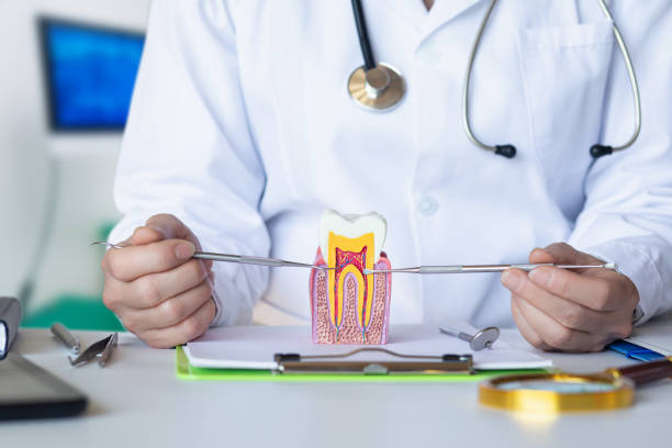 Best Emergency Root Canal Treatment in North Beach, MD